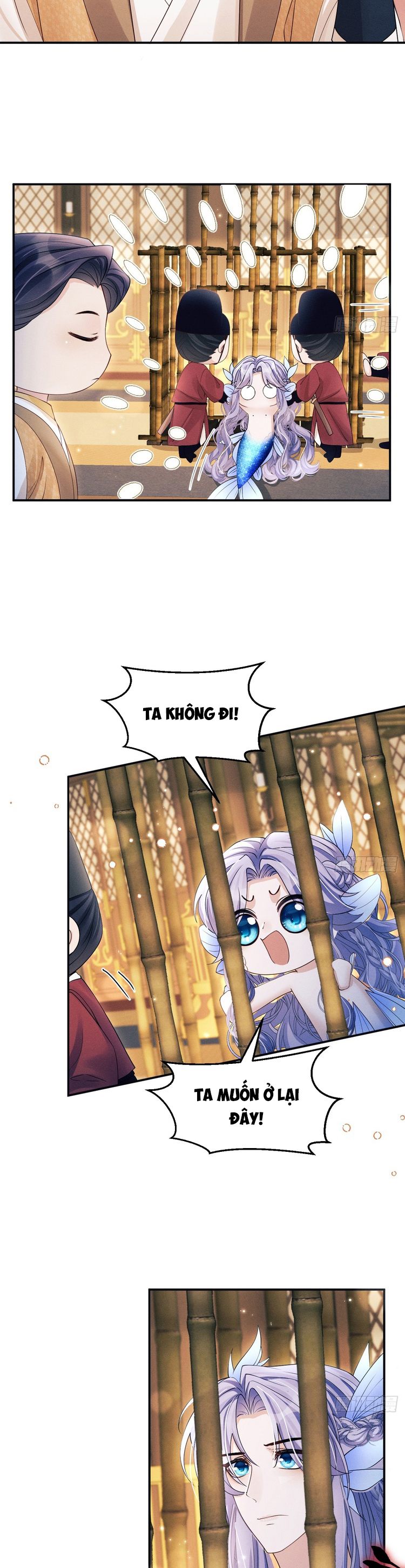 Tôi Hoài Nghi Ảnh Đế Đang Theo Đuổi Tôi Chapter 157 - Trang 4