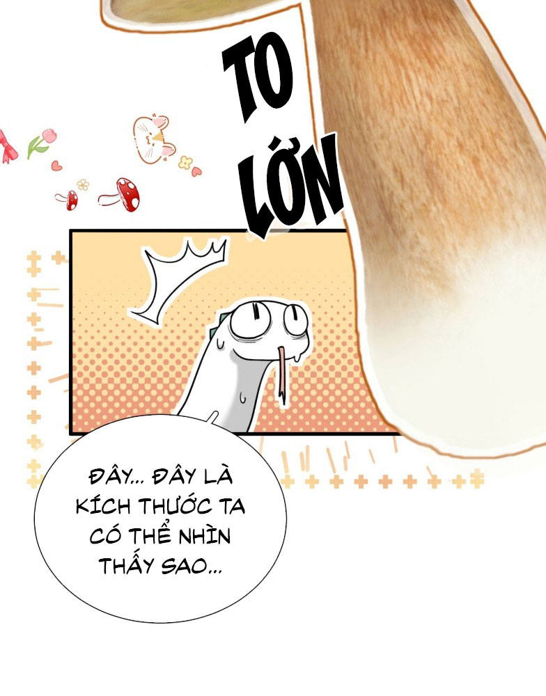 Xà Yêu Muốn Đào Thoát Chap 23 - Trang 2