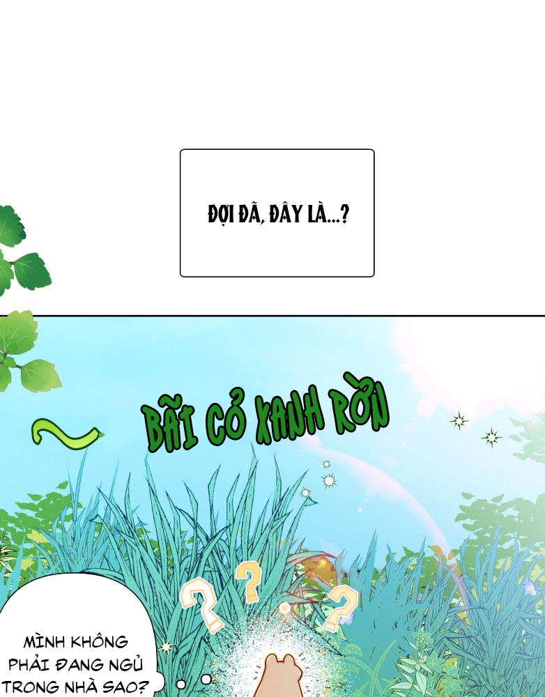 Sống Chung Cùng Kẻ Địch Trời Sinh Chapter 6 - Trang 4