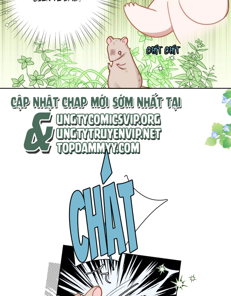 Sống Chung Cùng Kẻ Địch Trời Sinh Chapter 6 - Trang 4