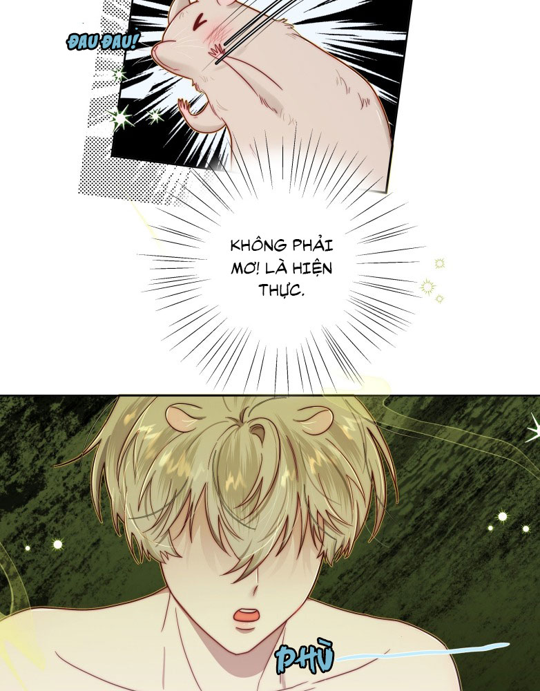 Sống Chung Cùng Kẻ Địch Trời Sinh Chapter 6 - Trang 4