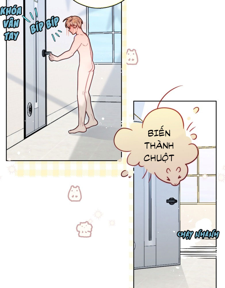 Sống Chung Cùng Kẻ Địch Trời Sinh Chapter 6 - Trang 4