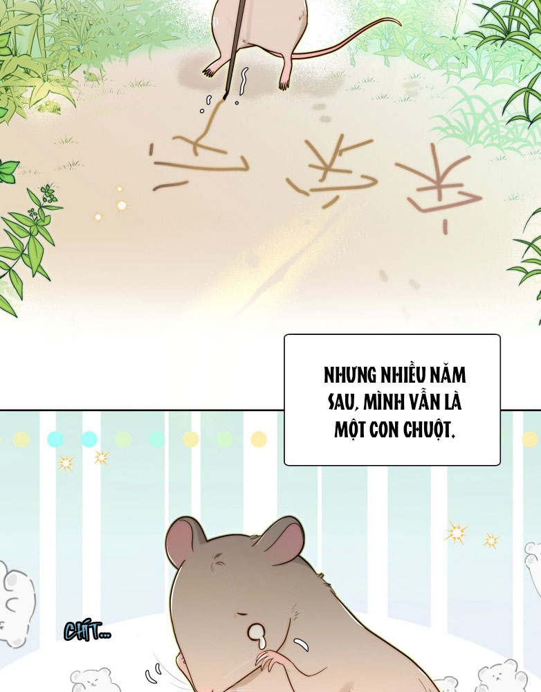 Sống Chung Cùng Kẻ Địch Trời Sinh Chapter 6 - Trang 4