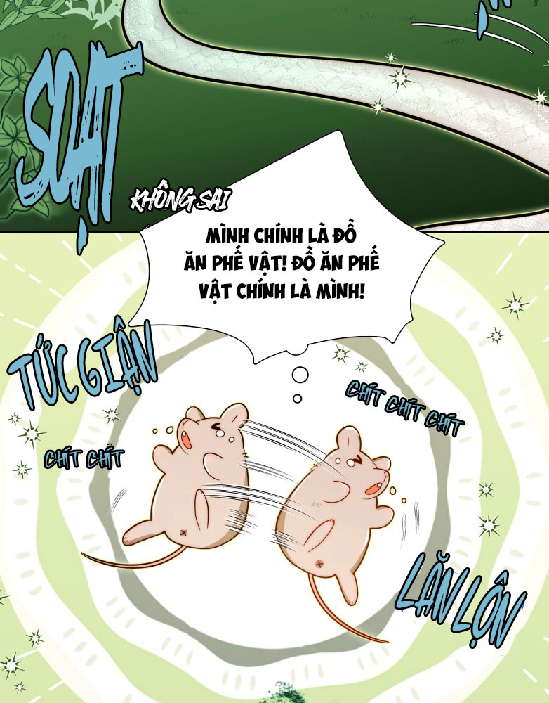Sống Chung Cùng Kẻ Địch Trời Sinh Chapter 6 - Trang 4