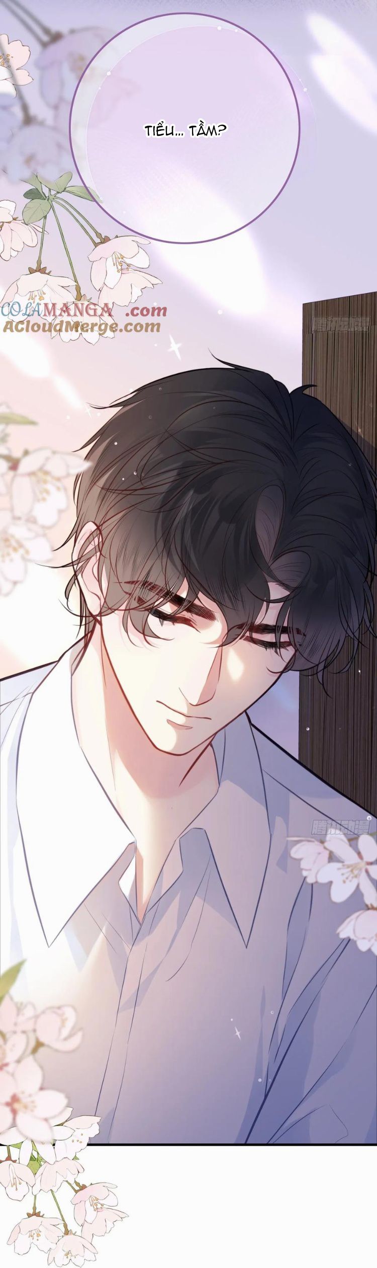 Anh Ấy Chưa Từng Rơi Xuống Chap 89 - Trang 4