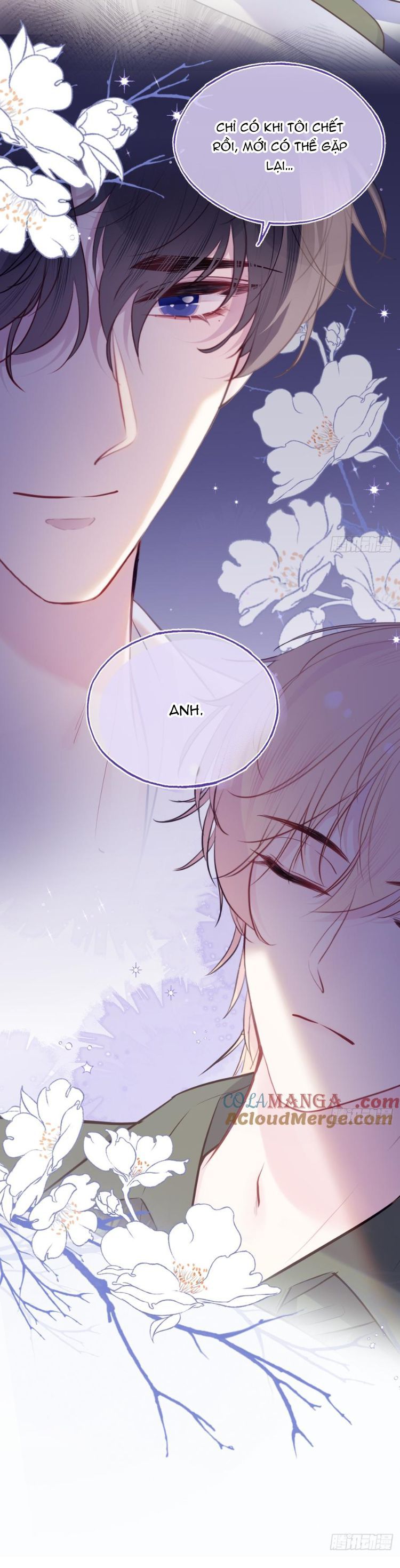 Anh Ấy Chưa Từng Rơi Xuống Chap 90 - Trang 4