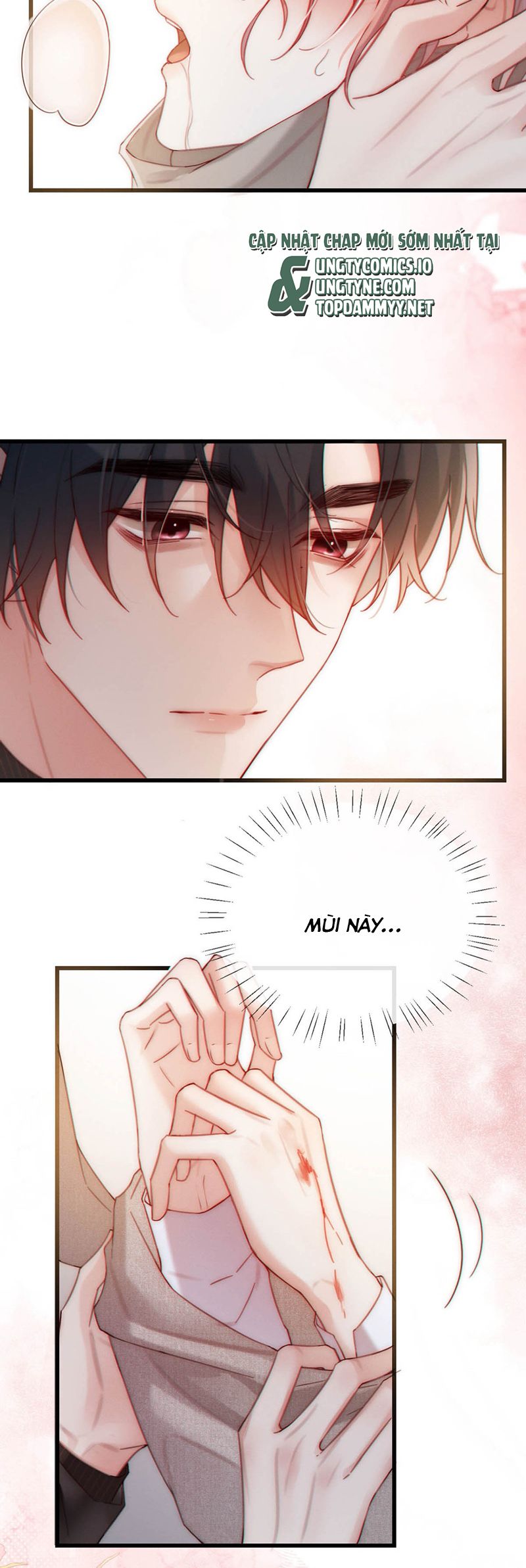 Nồng Đậm Tin Tức Tố Chapter 3 - Trang 4