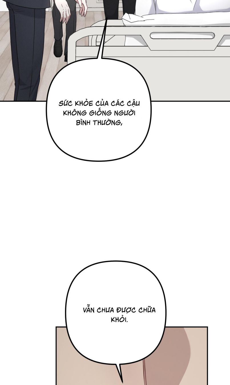 Thương vụ thứ hai Chap 19 - Trang 2