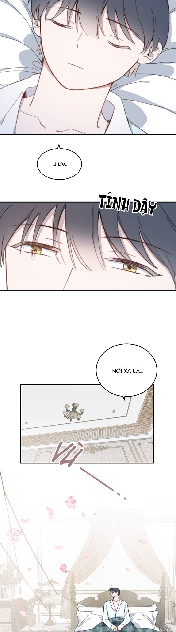 Nghiêm Cấm Đồng Loại Chap 4 - Trang 2