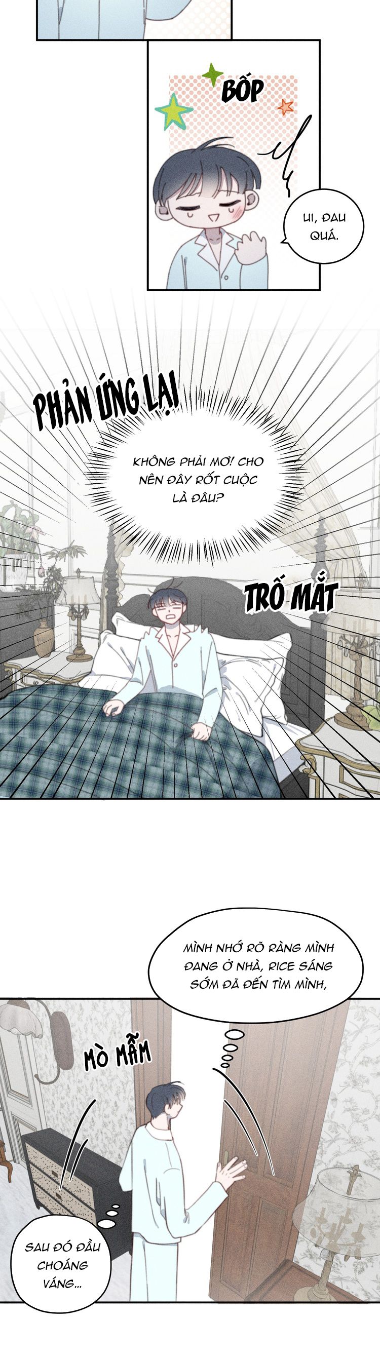 Nghiêm Cấm Đồng Loại Chap 4 - Trang 2