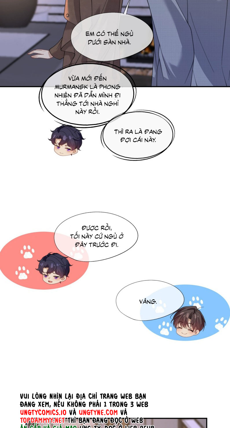 Gài Bẫy Ác Khuyển Chapter 66 - Trang 4