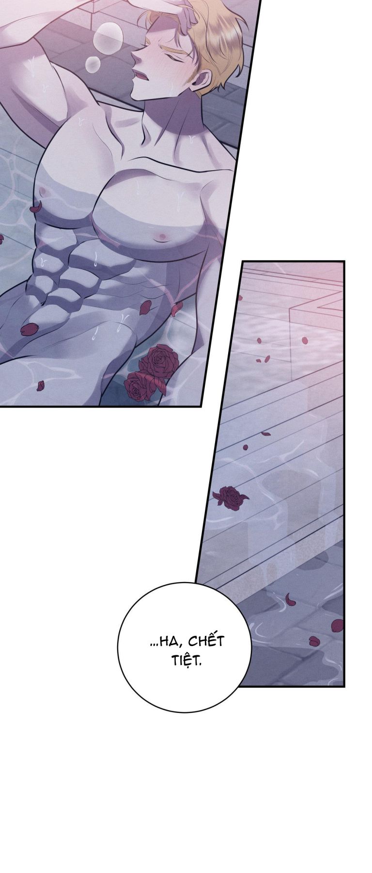 Hôn Nhân Gia Tộc Chap 1 - Next Chap 2