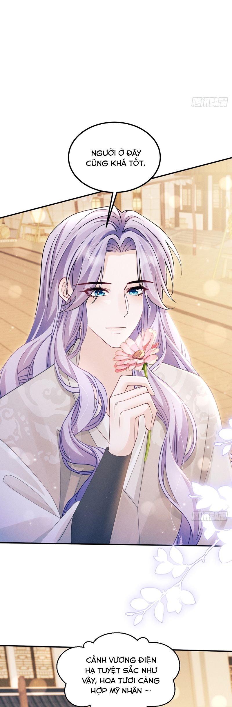Tôi Hoài Nghi Ảnh Đế Đang Theo Đuổi Tôi Chapter 162 - Trang 4