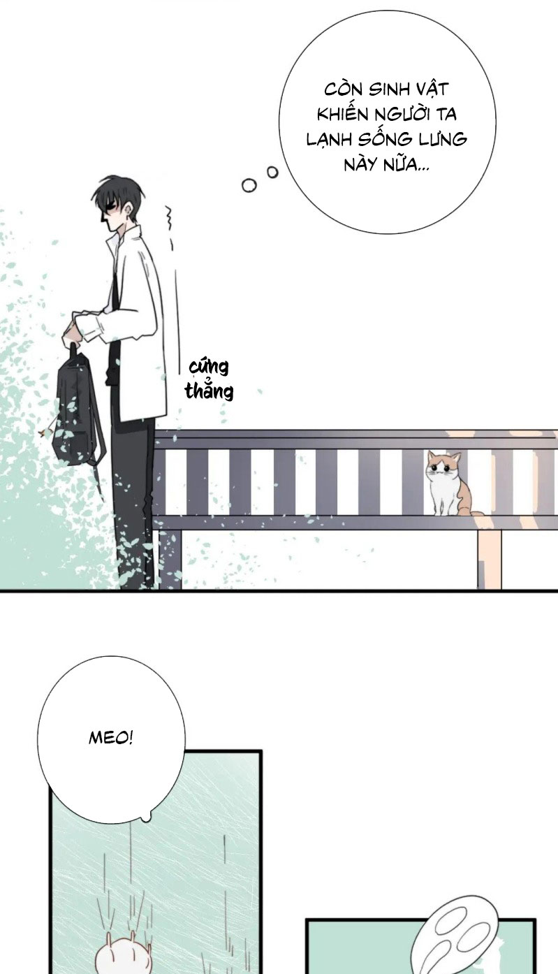Nhiệm Vụ Này Muốn Mạng Mà Chap 4 - Trang 2