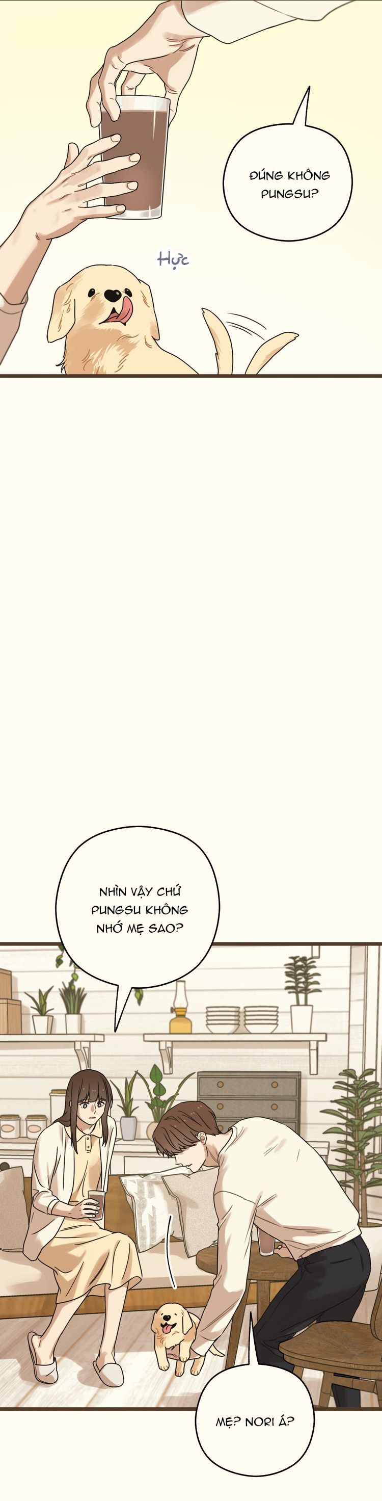 Tương Phùng Chapter 27 - Trang 3