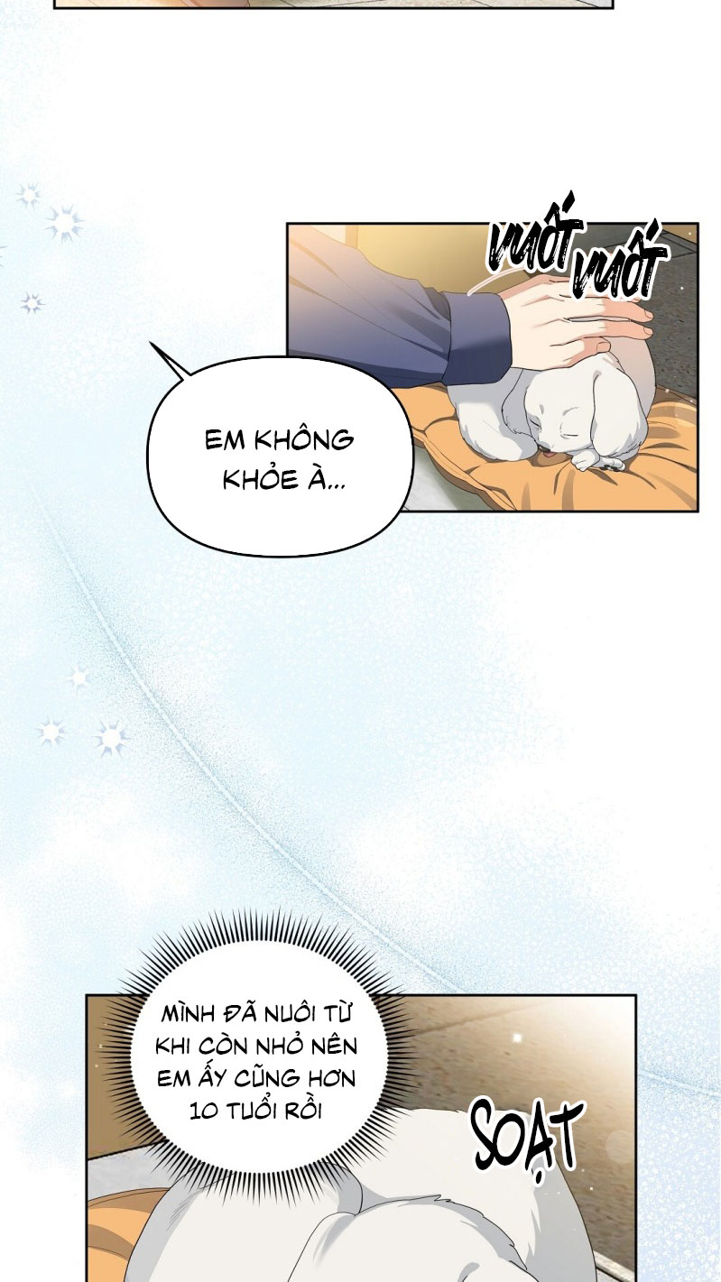 Cherry Cake Chapter 12 - Trang 4
