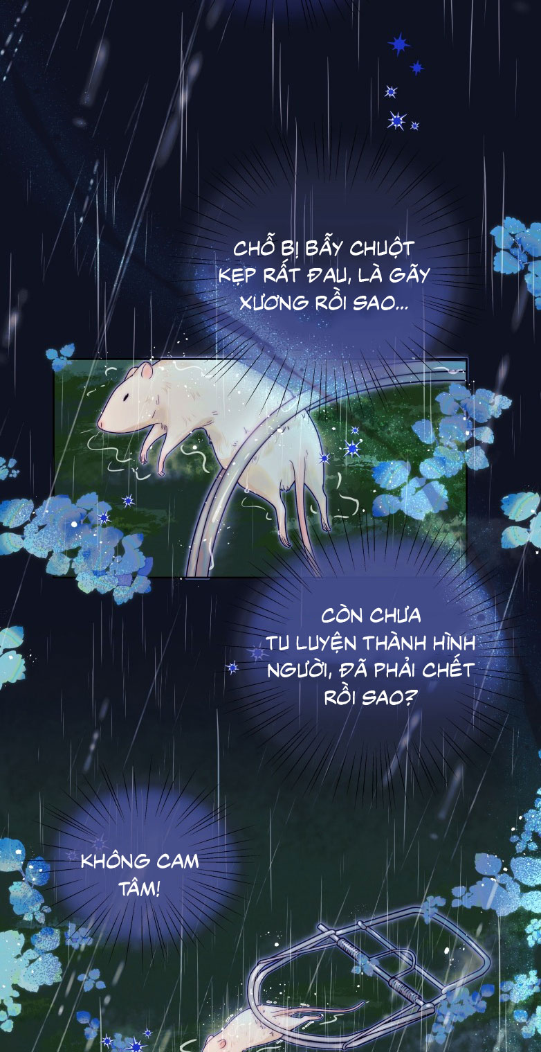Sống Chung Cùng Kẻ Địch Trời Sinh Chapter 10 - Trang 4