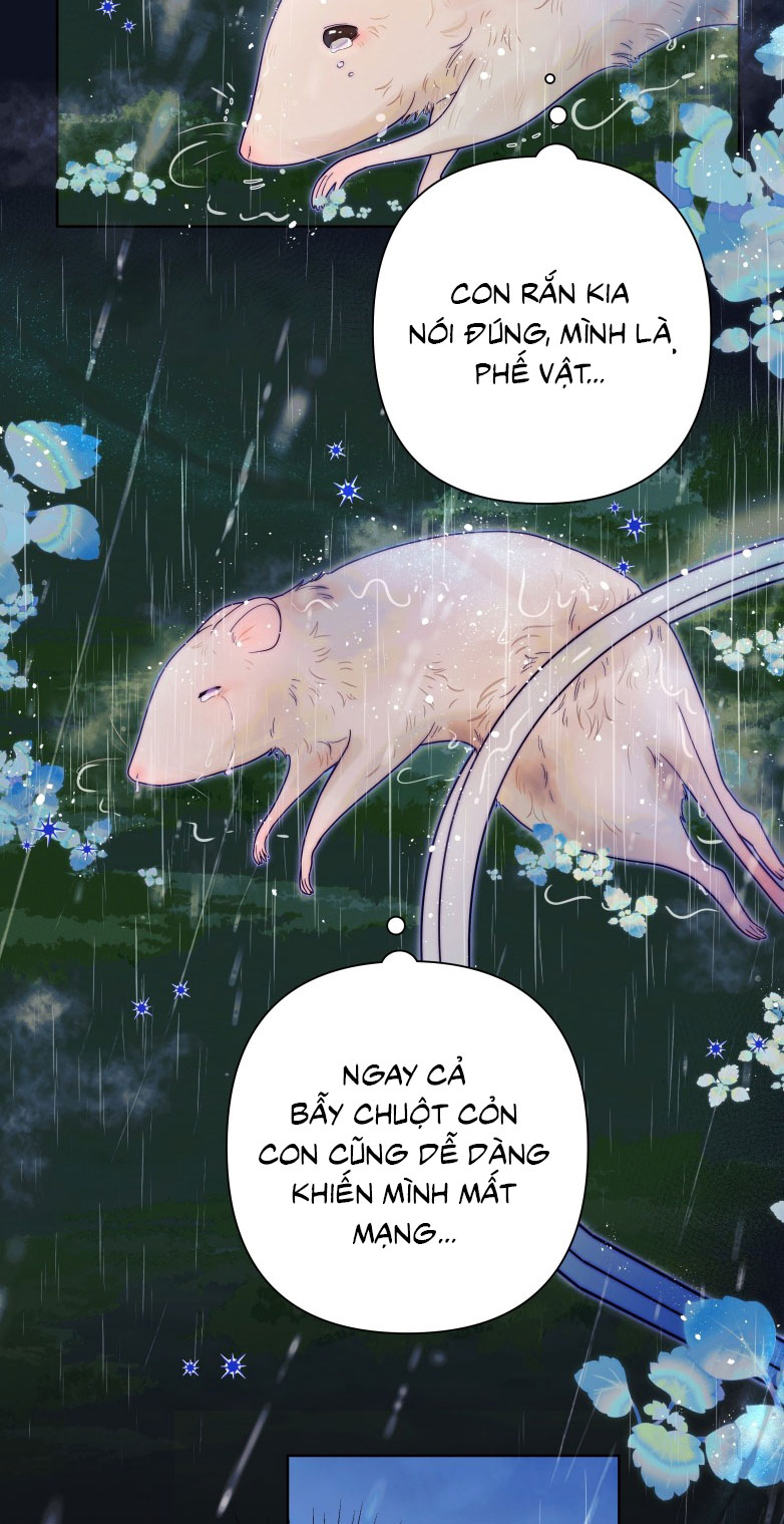 Sống Chung Cùng Kẻ Địch Trời Sinh Chapter 10 - Trang 4