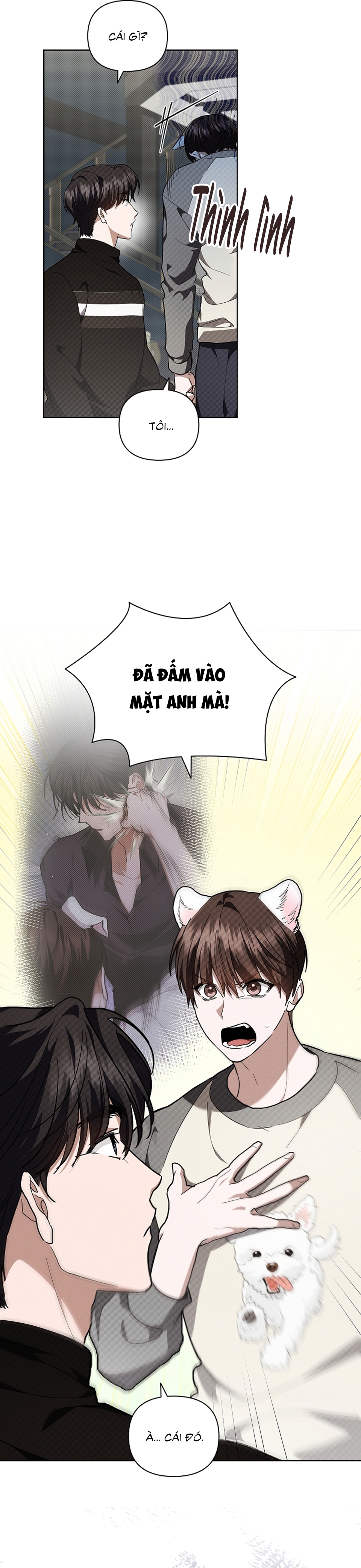 ĐỪNG CHẠM VÀO CÚN CON CỦA TÔI Chap 17 - Trang 4