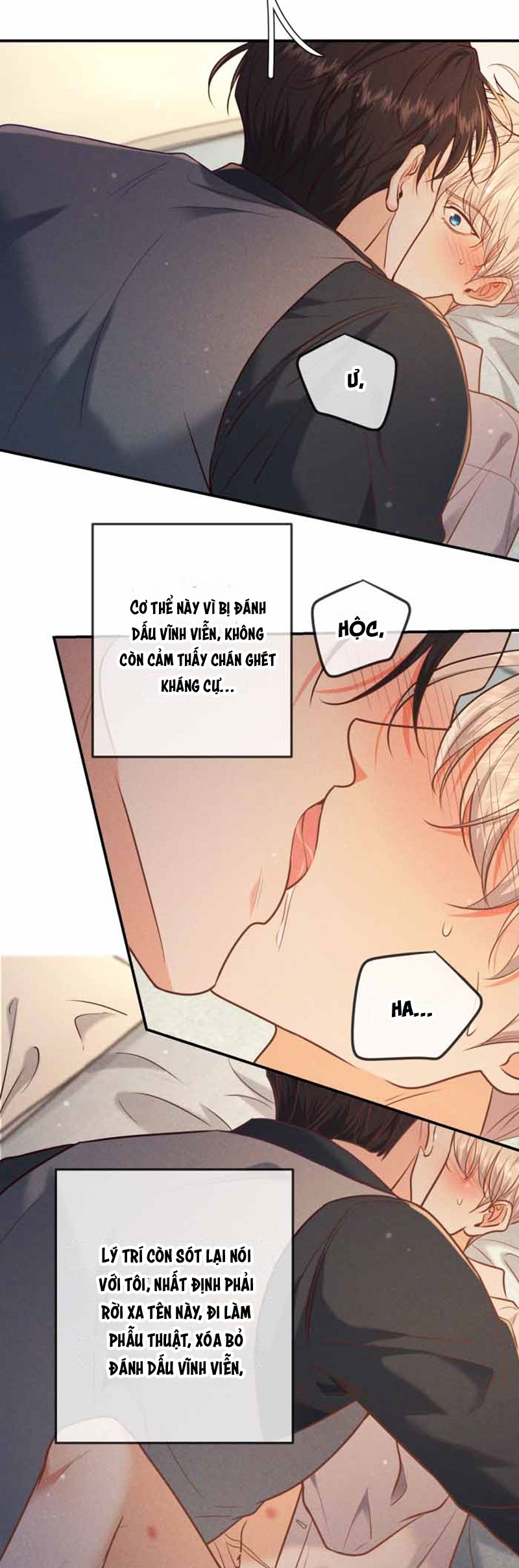 Đêm Tình Yêu Và Sát Ý Chapter 40 - Trang 4