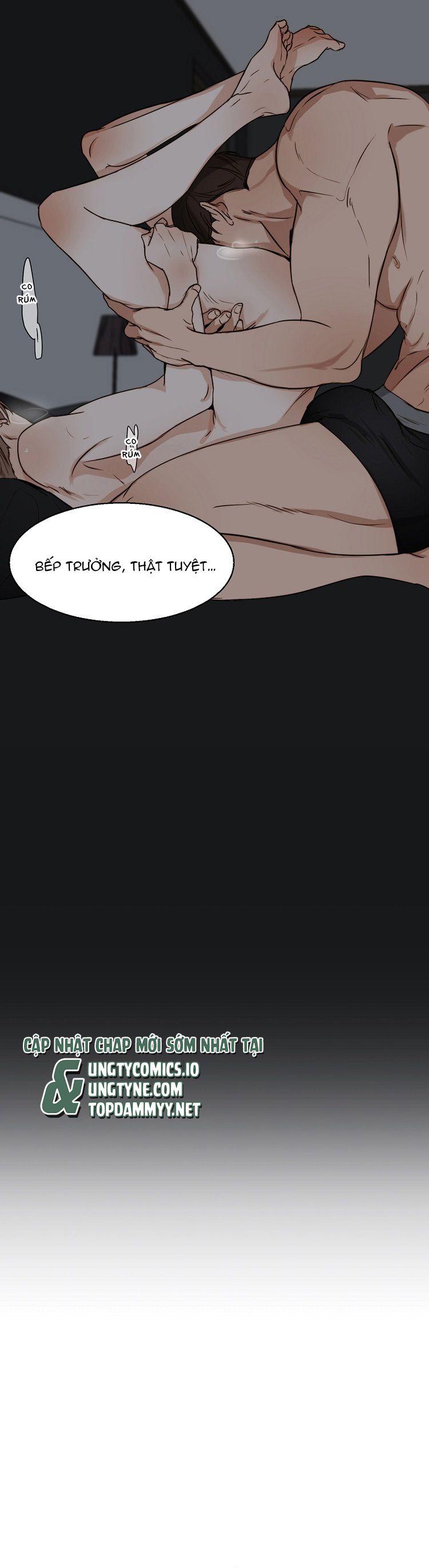 Secondo Piatto Chap 22: H+ - Trang 2