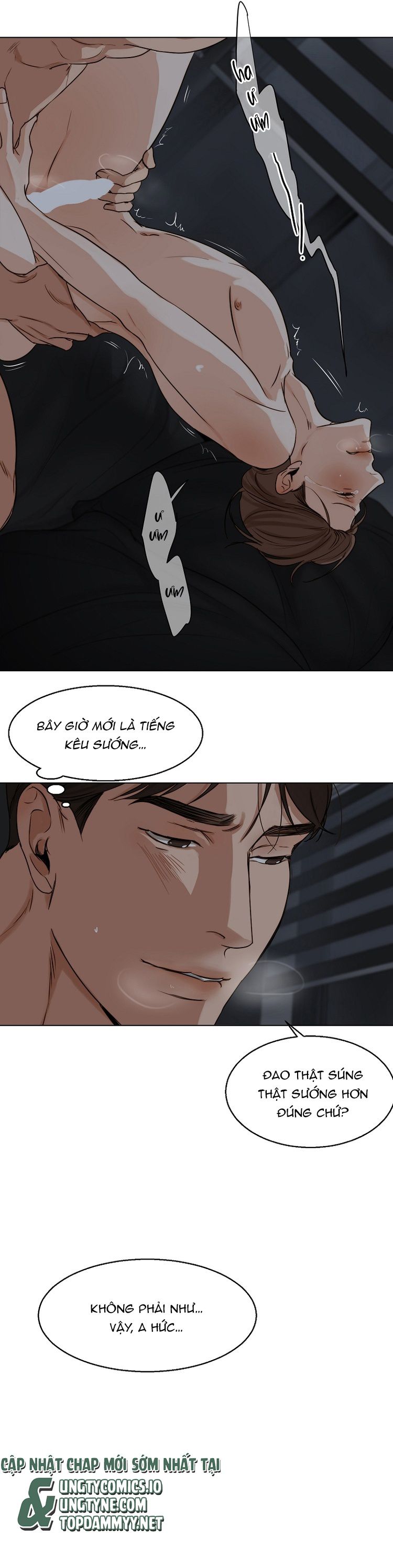 Secondo Piatto Chap 22: H+ - Trang 2
