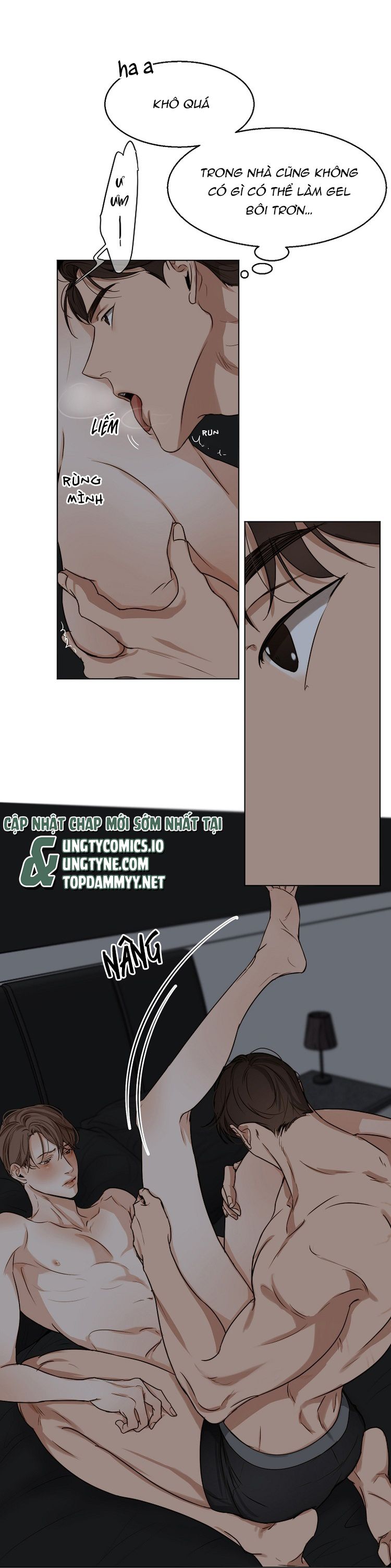 Secondo Piatto Chap 22: H+ - Trang 2