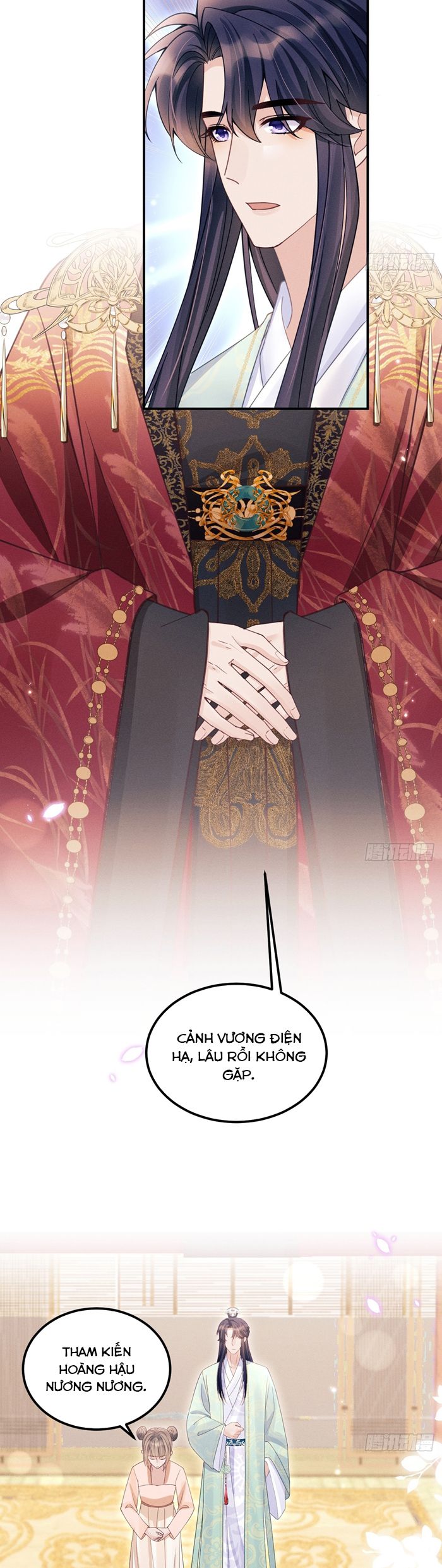 Tôi Hoài Nghi Ảnh Đế Đang Theo Đuổi Tôi Chapter 164 - Trang 4