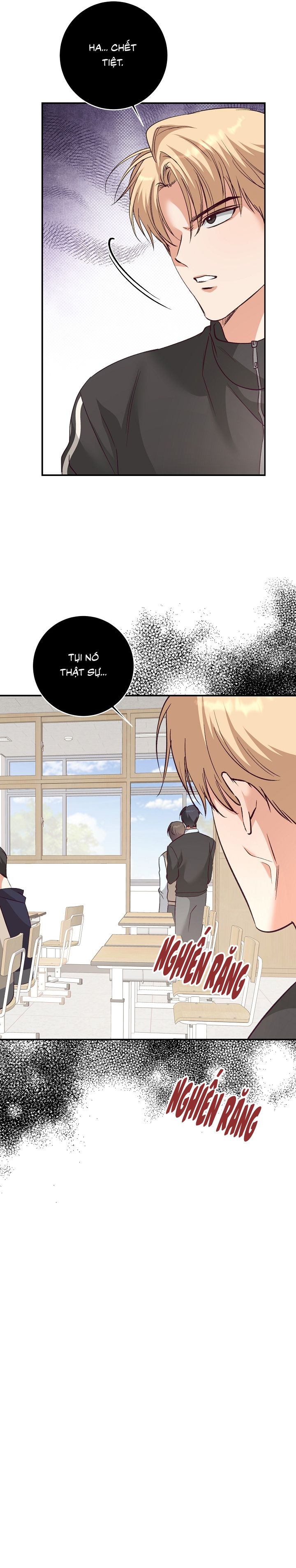 Nhật Ký Quan Sát Bồ Công Anh Chap 12 - Trang 2