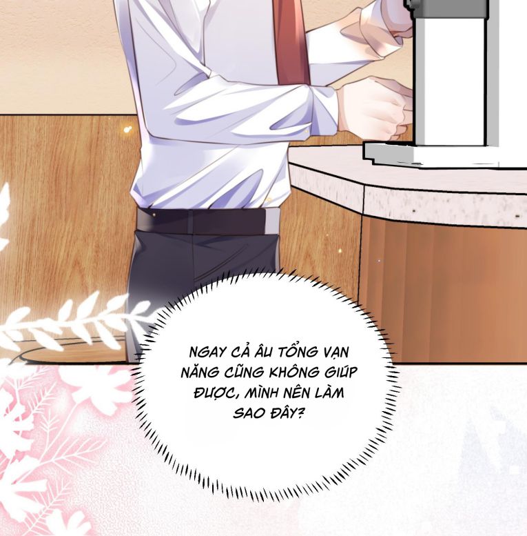 Tổng Tài Định Chế Tư Nhân Chap 117 - Trang 4