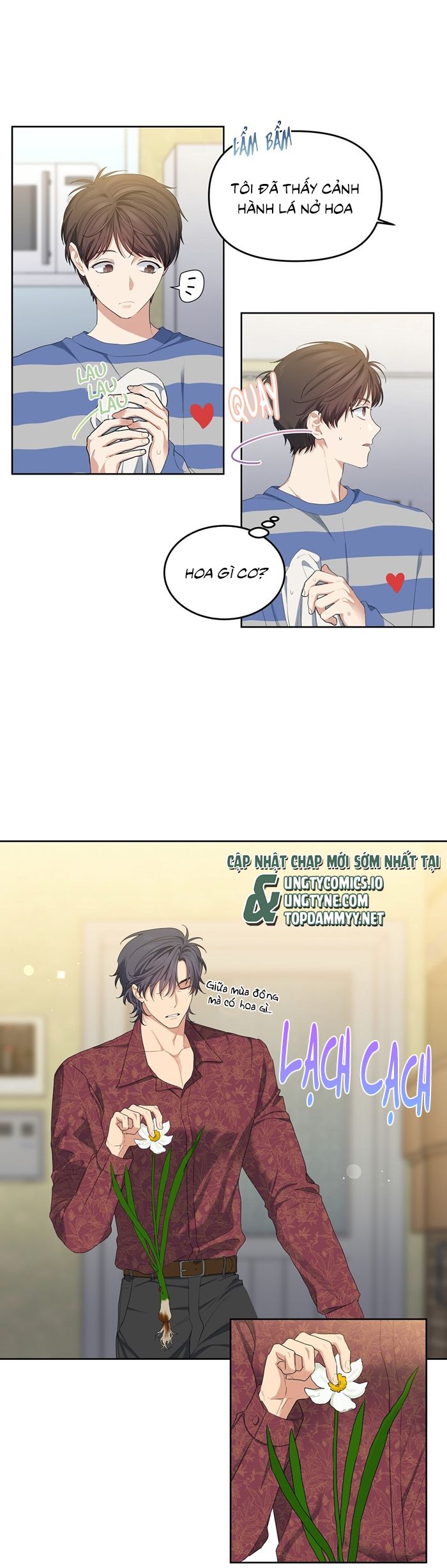Cherry Cake Chapter 15 - Trang 4