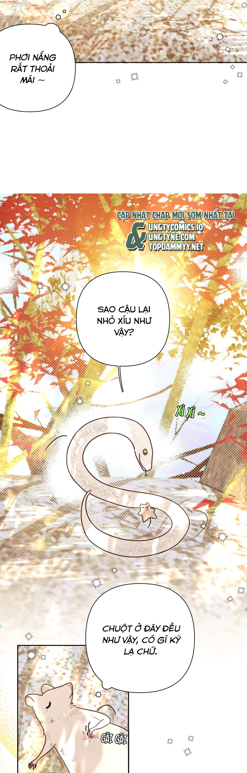 Sống Chung Cùng Kẻ Địch Trời Sinh Chapter 11 - Trang 4