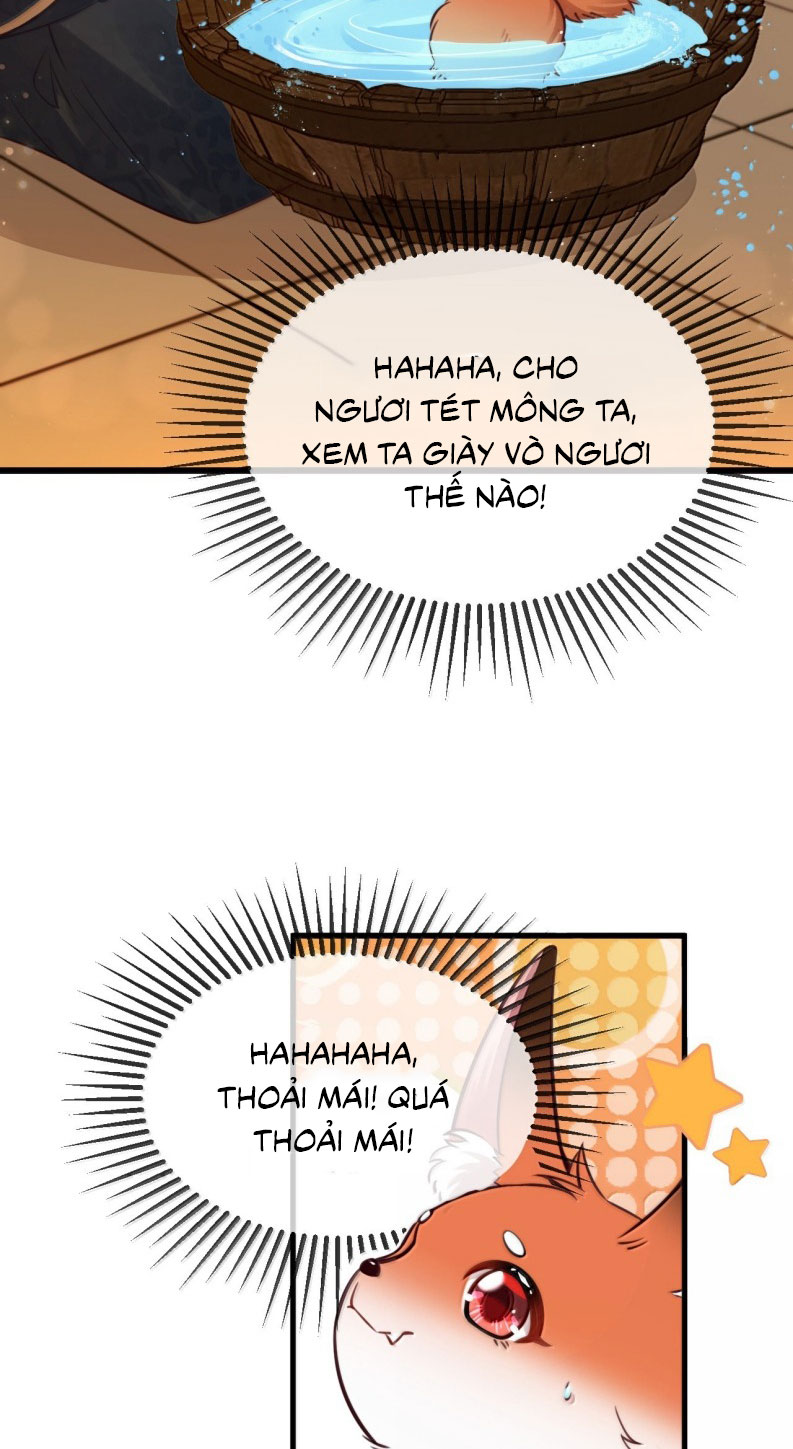 Sau Khi Bản Thể Rơi Vào Tay Đối Thủ Một Mất Một Còn Chapter 20 - Trang 3