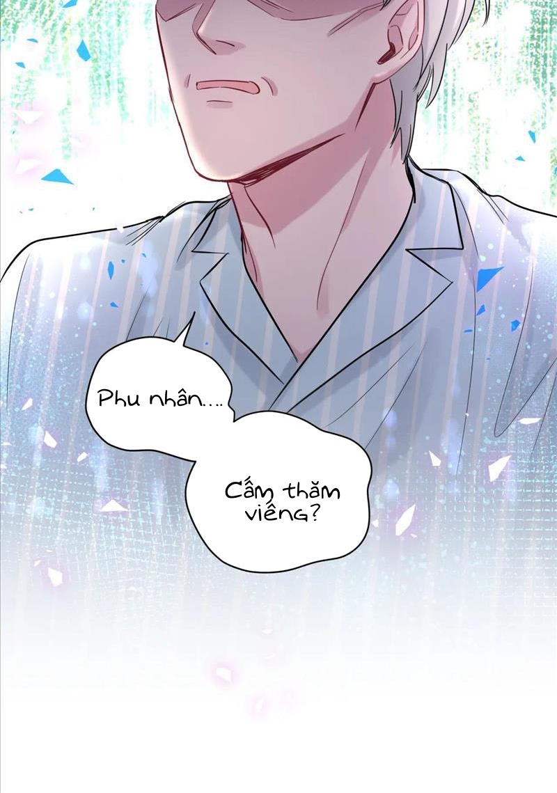 Đại Bảo Bối Từ Đâu Tới Chap 183 - Trang 2