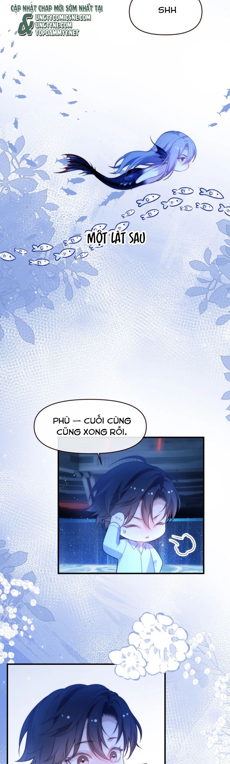 Desharow Nhân Ngư Chapter 74 - Trang 4