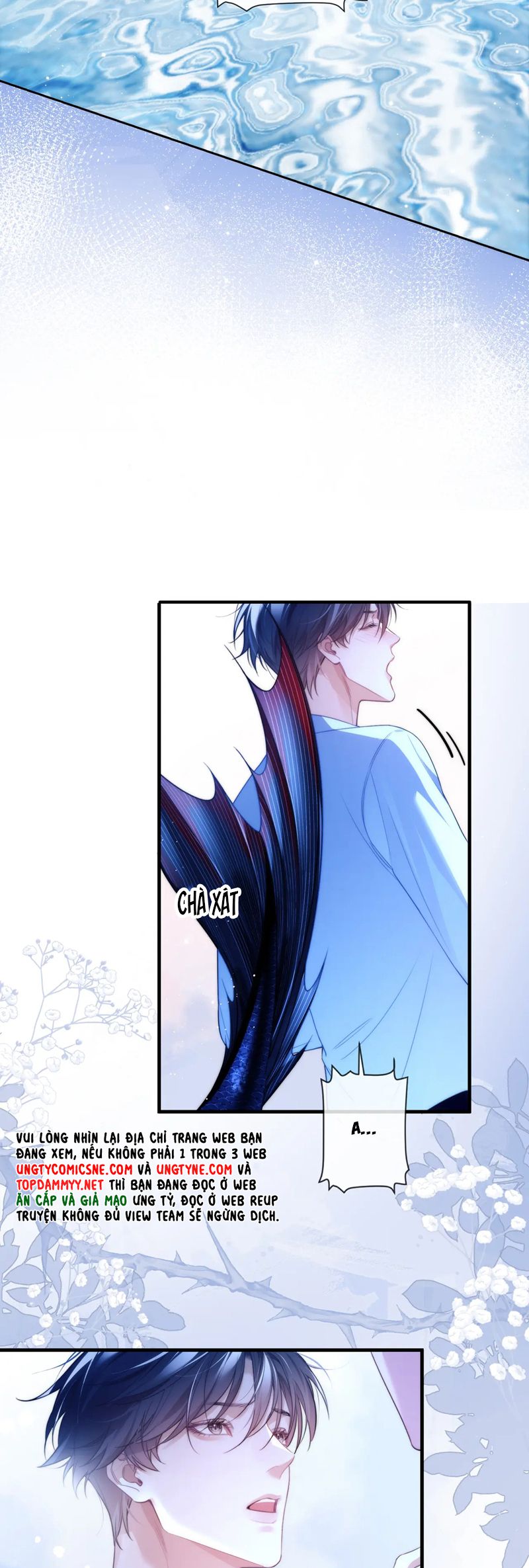 Desharow Nhân Ngư Chapter 74 - Trang 4