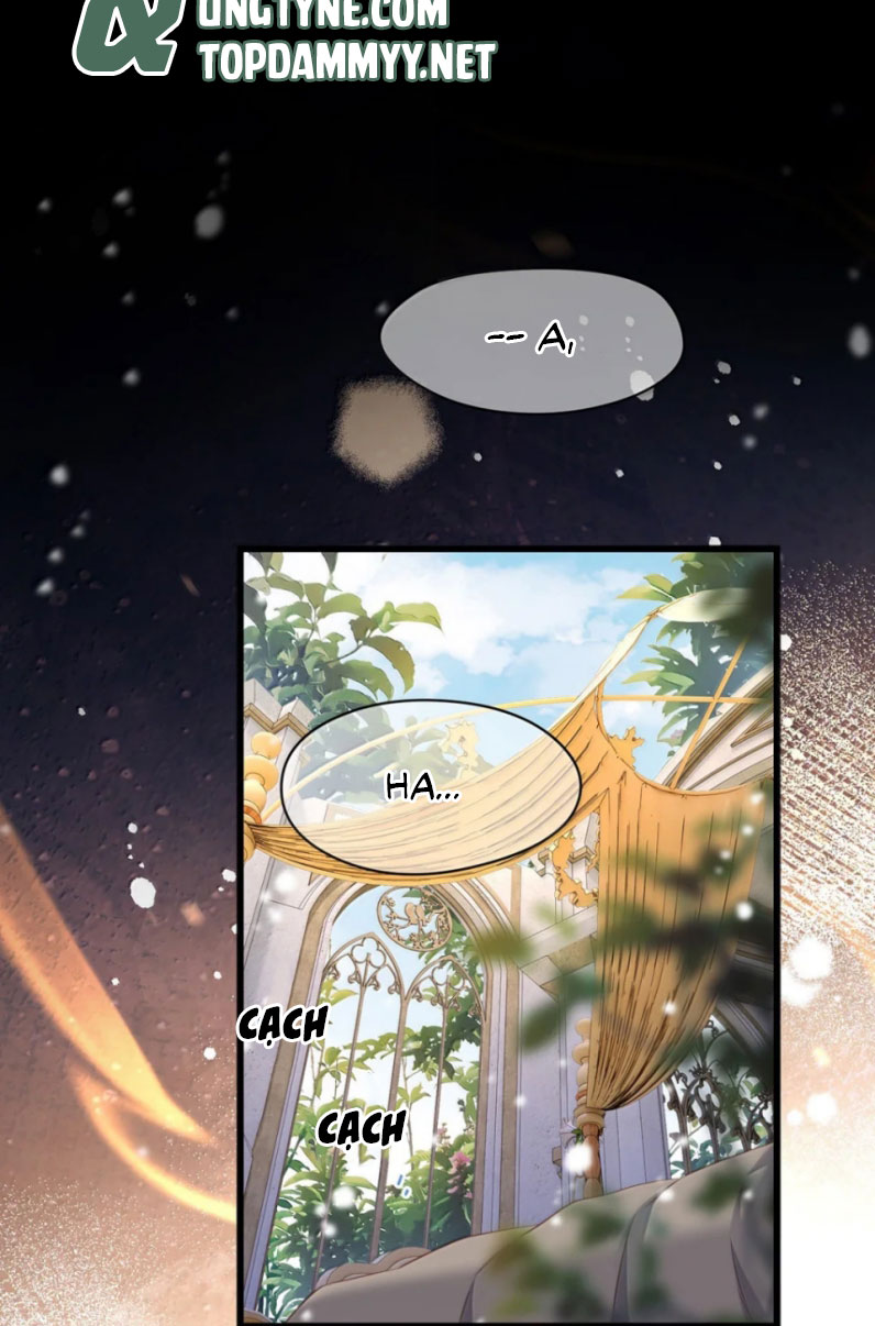 Tôi Trùng Sinh Trở Thành Tiểu Ác Long Của Vương Tử Điện Hạ Chapter 63 - Trang 4