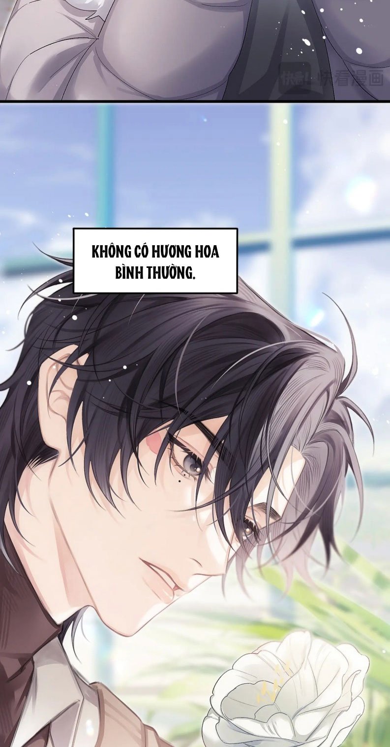 Nghịch Lý Câu Fan Chapter 37 - Next Chap 37