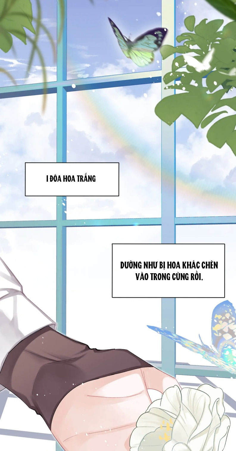Nghịch Lý Câu Fan Chapter 37 - Next Chap 37