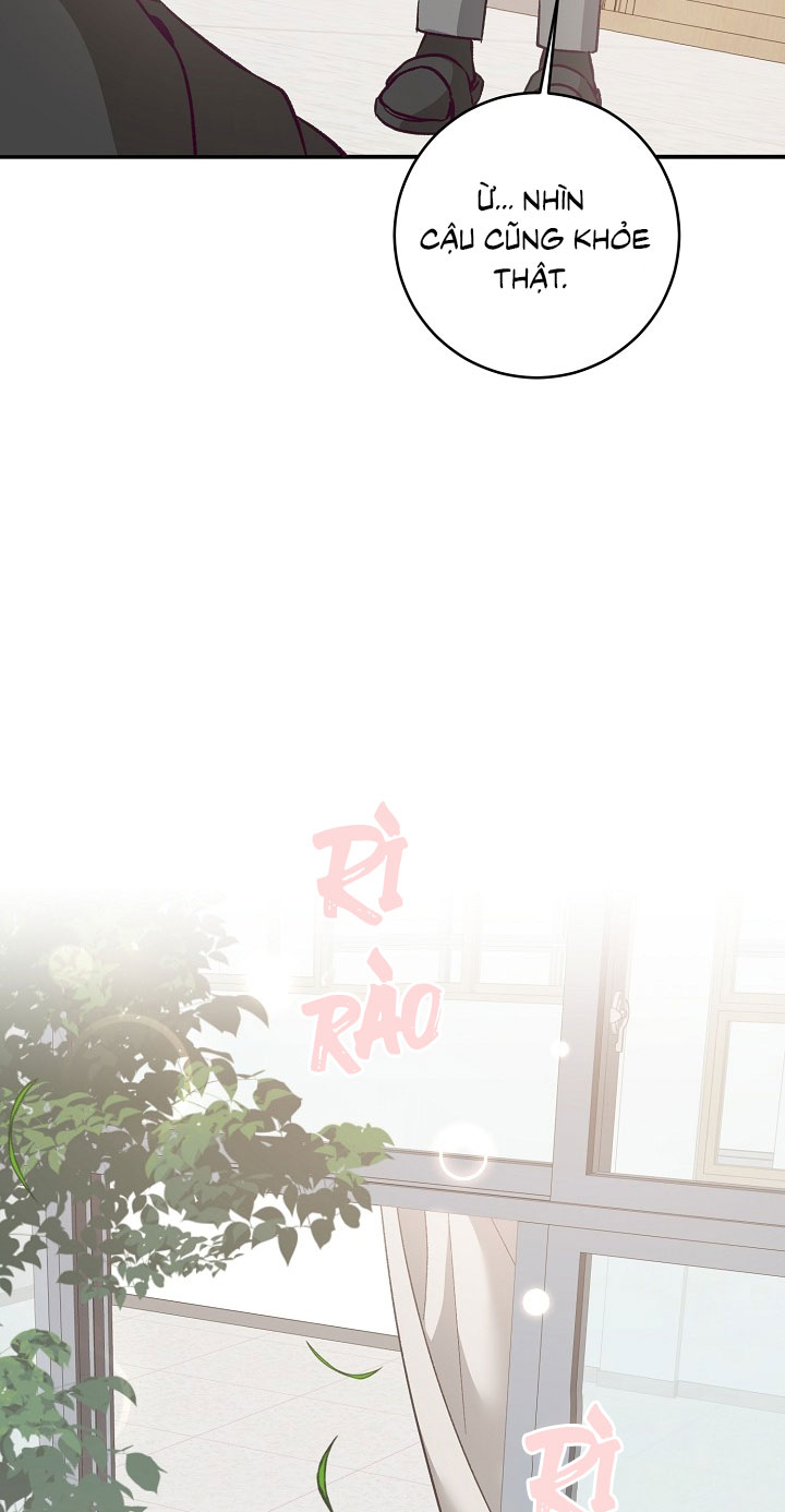 Nhật Ký Quan Sát Bồ Công Anh Chap 15 - Trang 2
