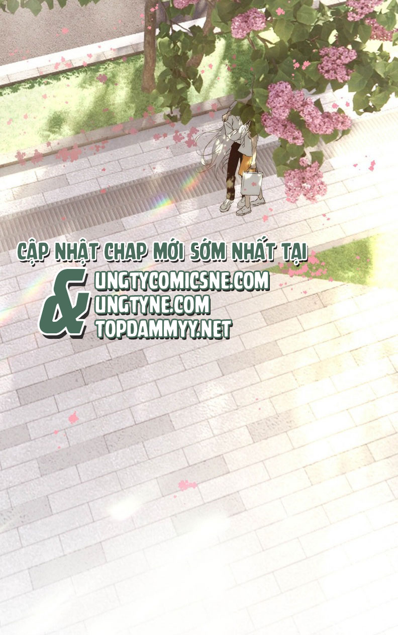 Mỗi Ngày Đều Muốn Làm Bệnh Kiều Vương Tử Xấu hổ Muốn Độn Thổ Chap 4 - Trang 4