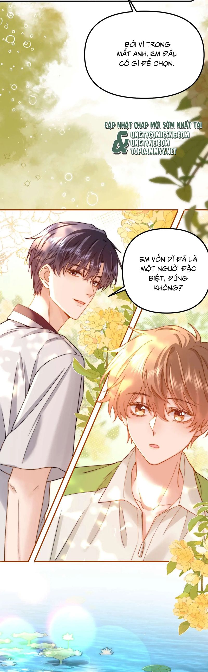 Chất Dị Ứng Đáng Yêu Chap 76 - Trang 4