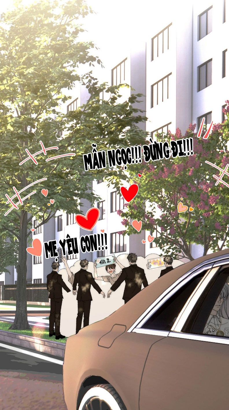 Mỗi Ngày Đều Muốn Làm Bệnh Kiều Vương Tử Xấu hổ Muốn Độn Thổ Chap 5 - Trang 4