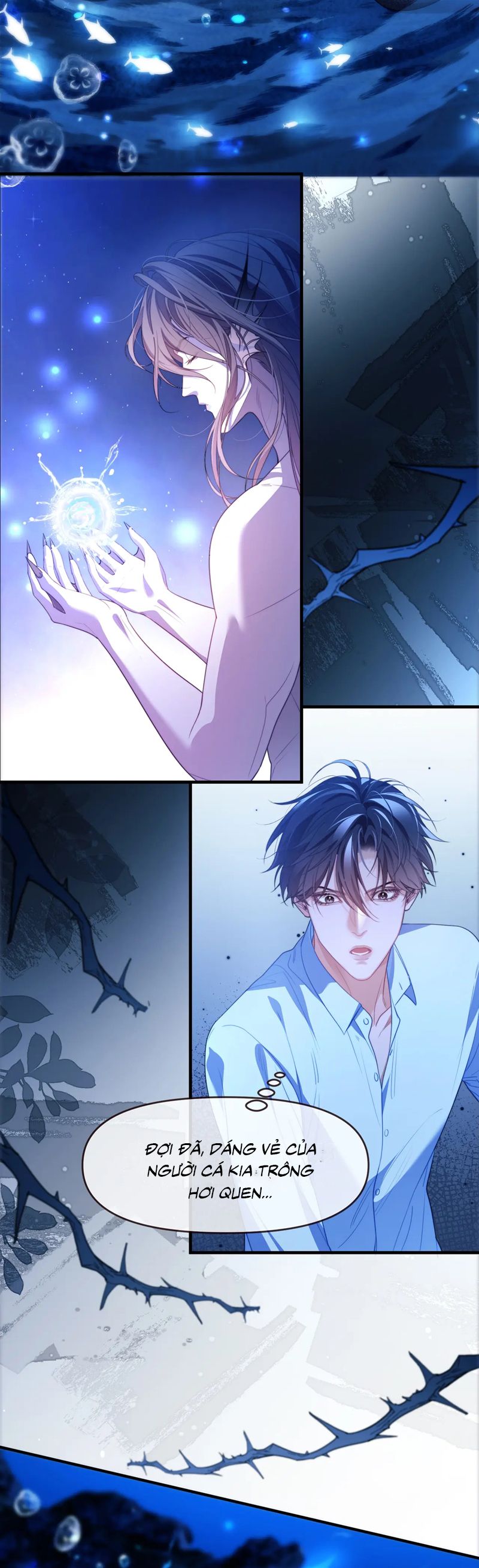 Desharow Nhân Ngư Chapter 76 - Trang 4