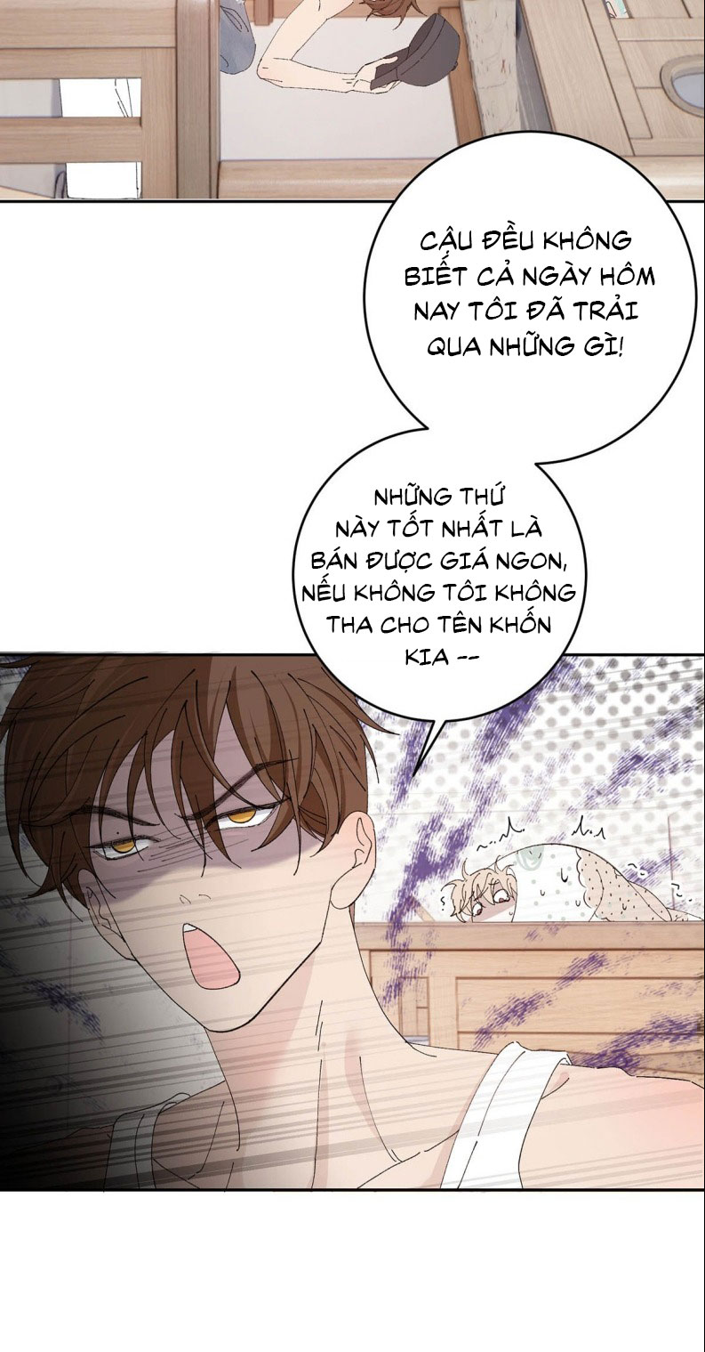 Mỗi Ngày Đều Muốn Làm Bệnh Kiều Vương Tử Xấu hổ Muốn Độn Thổ Chap 7 - Trang 4