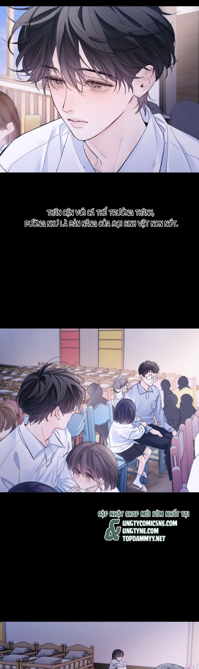 Cây Nấm Nhỏ Chap 51 - Next Chap 52