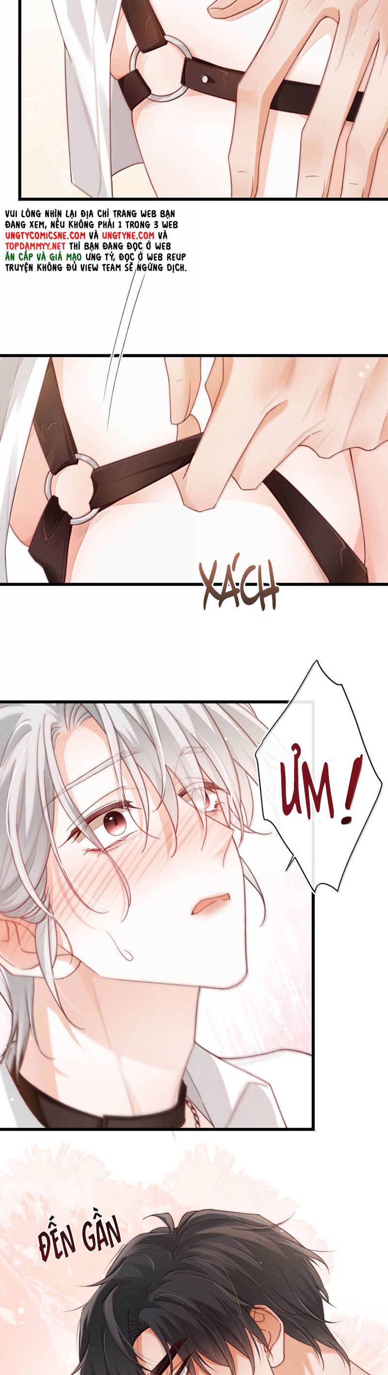 Nồng Đậm Tin Tức Tố Chapter 17 - Trang 4