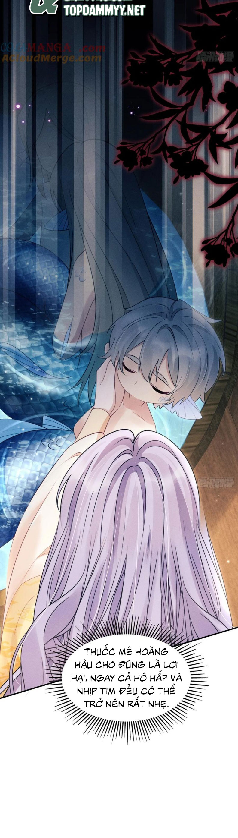 Tôi Hoài Nghi Ảnh Đế Đang Theo Đuổi Tôi Chapter 175 - Trang 4