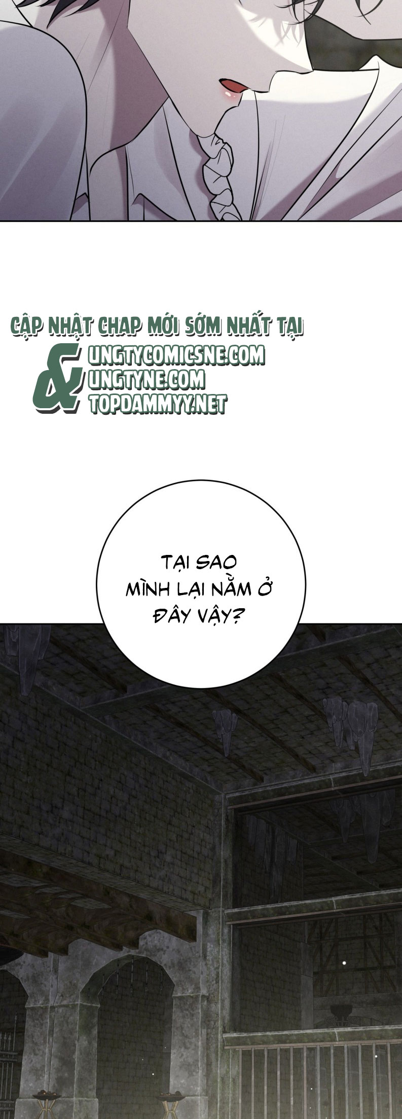 Hôn Nhân Gia Tộc Chap 22 - Trang 3