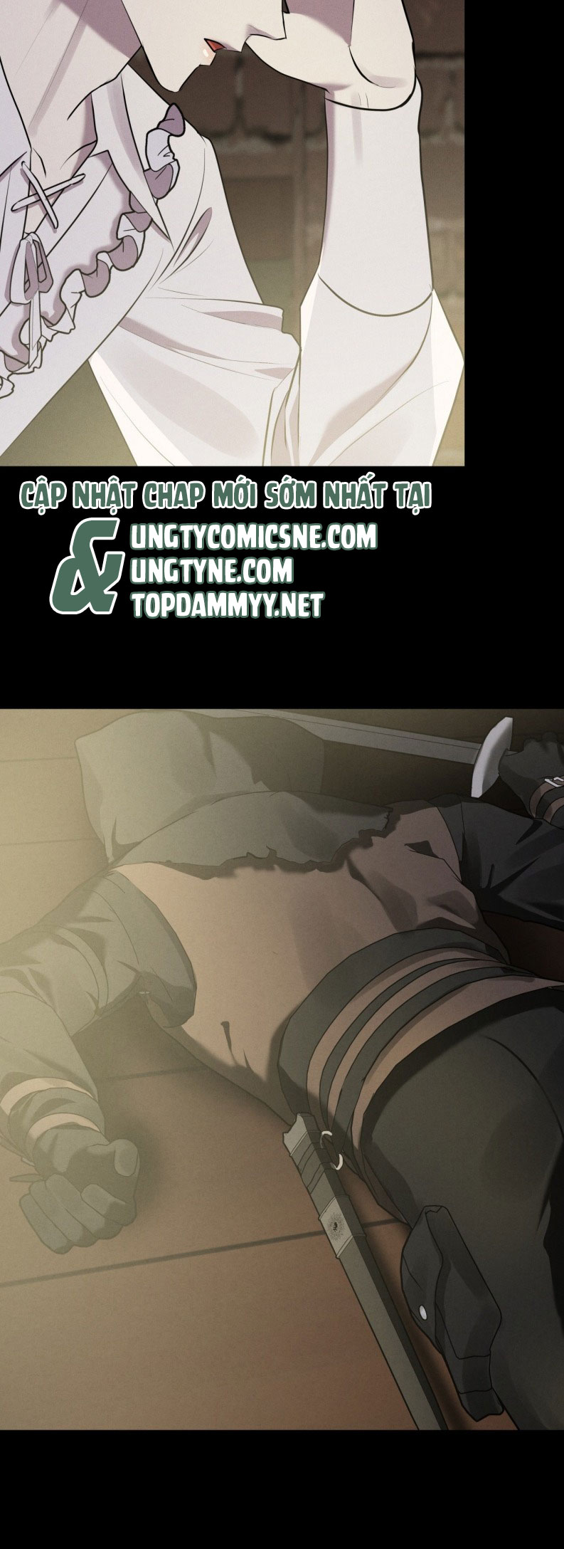 Hôn Nhân Gia Tộc Chap 22 - Trang 3